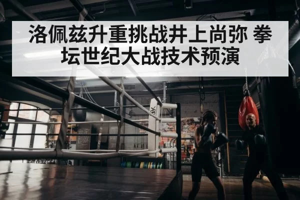 boxer training